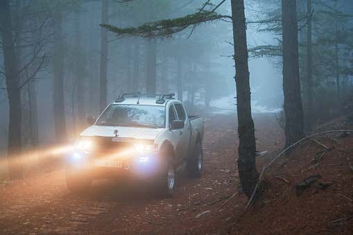 A truck in a forest 森林里的卡车