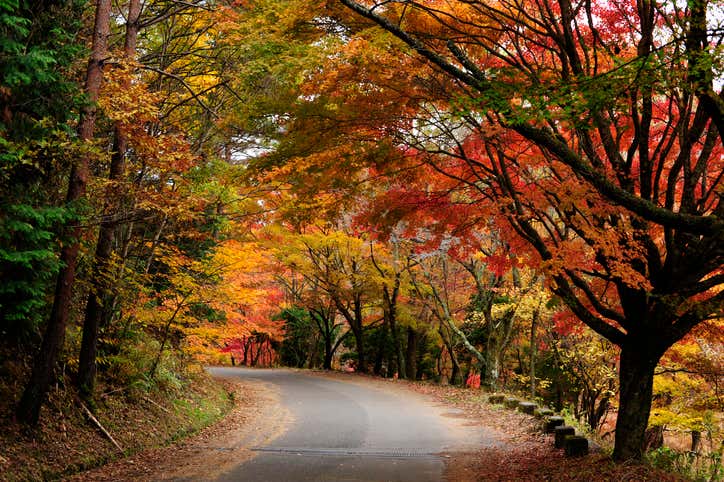 A colorful, open road 一条色彩斑斓、开阔的道路