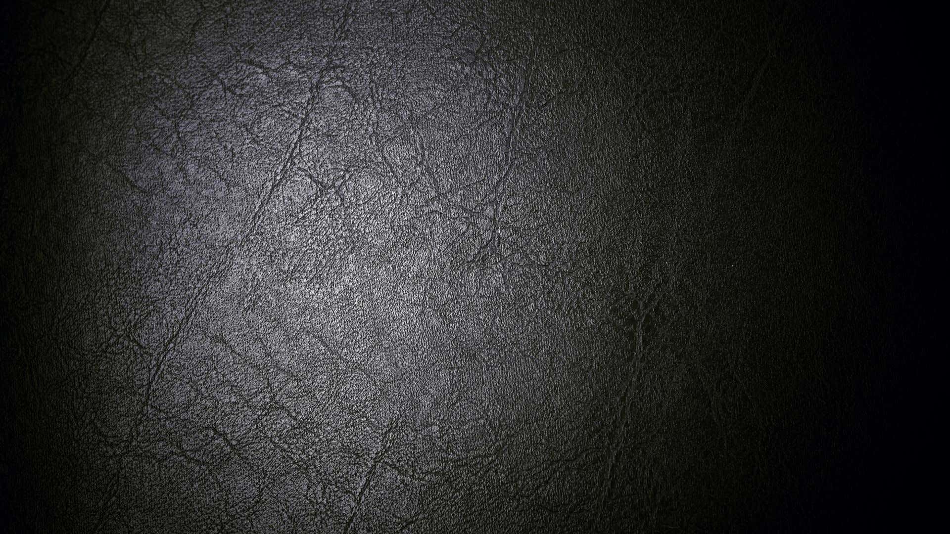 Leather Seat 皮革座椅