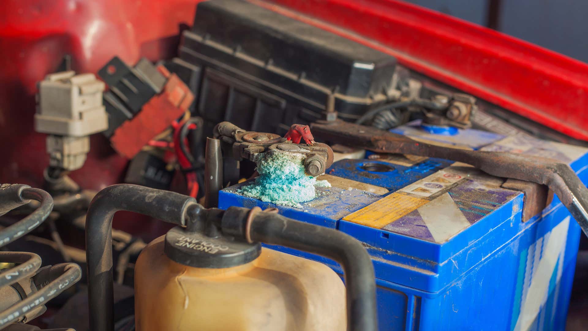 Corroded battery terminals need to be cleaned for the battery to function properly. 为使电池正常工作,需要清洁被腐蚀的电池端子。