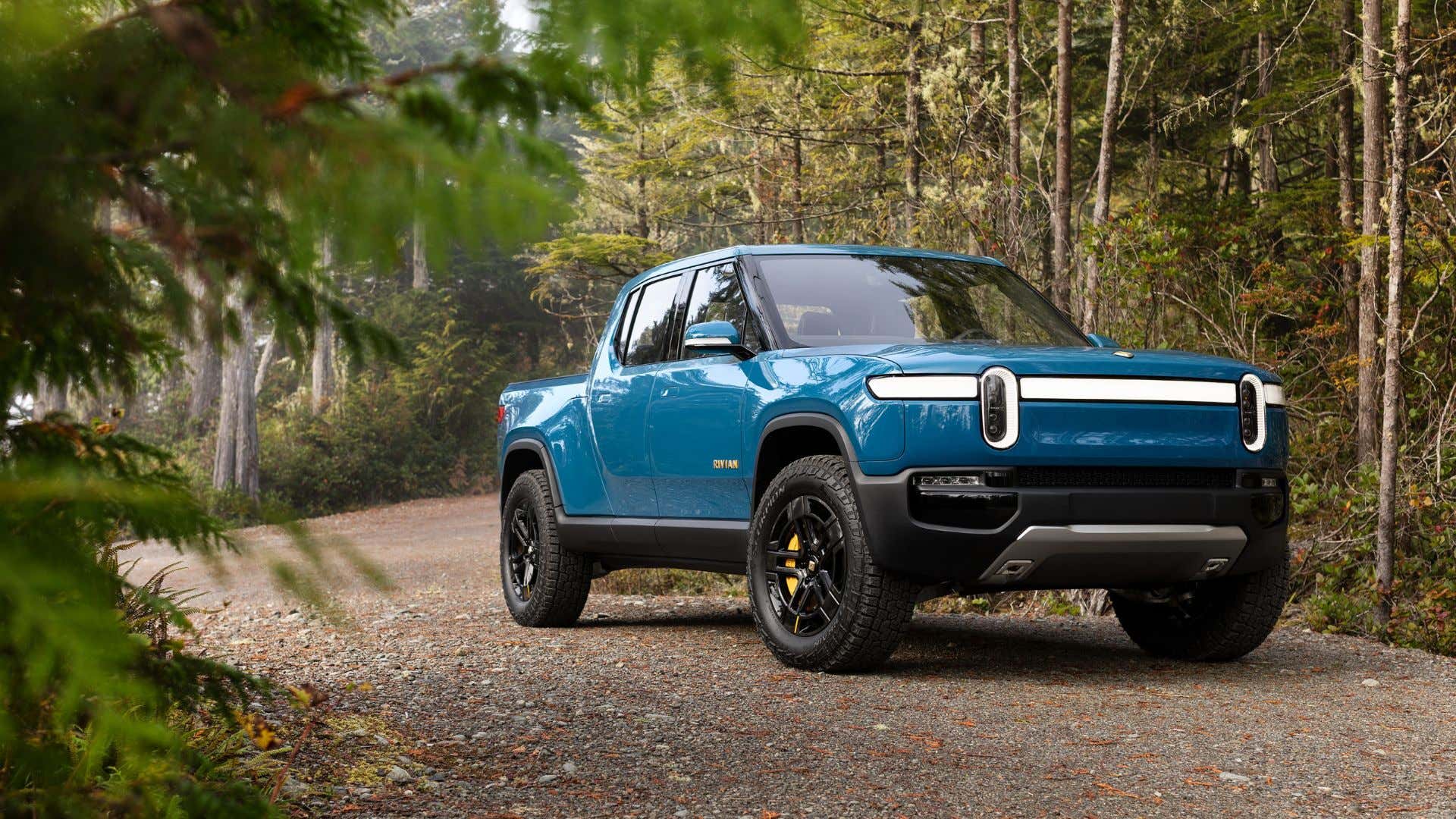 Rivian looking good among the forest in blue. 里维安穿着蓝色的衣服在森林里很好看。