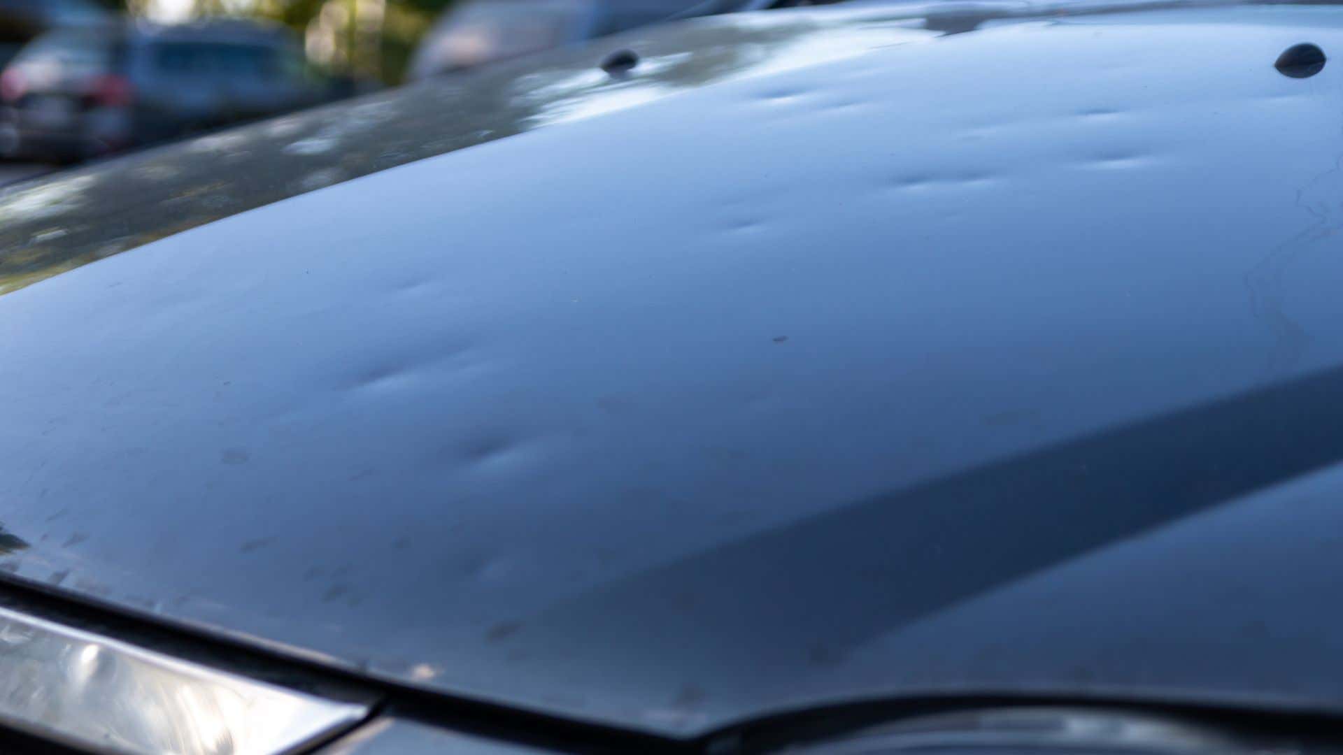 Hail damage. 冰雹灾害。