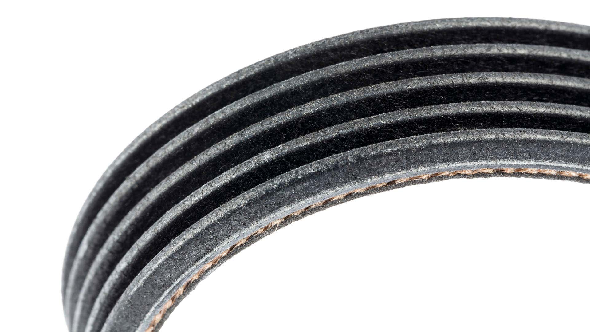 The ribs of a serpentine belt. 蛇纹石带的肋骨。