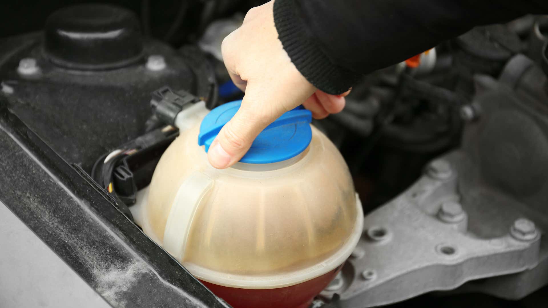 The coolant reservoir will look different depending on the vehicle. 冷却剂储存器会根据车辆的不同而有所不同。