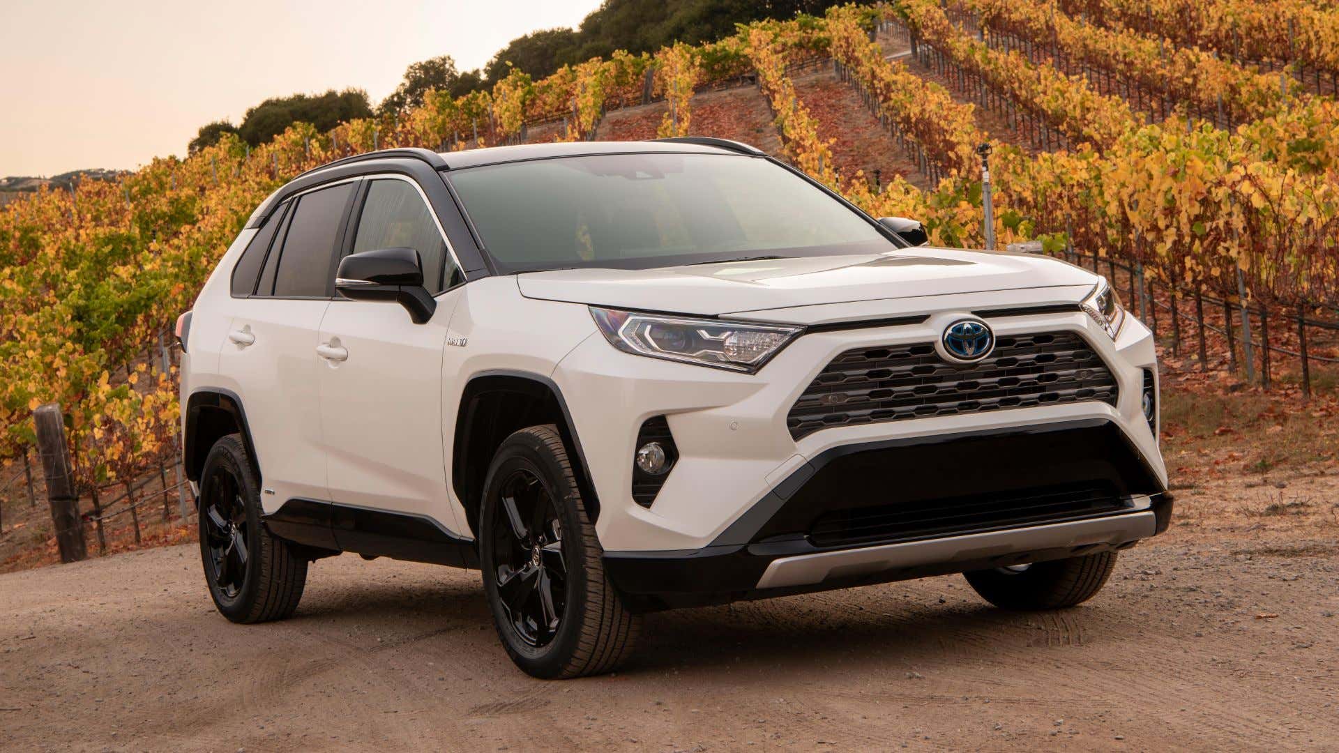 A Toyota RAV4 Hybrid in the wilds of wine country. Must be nice. 丰田RAV4杂交在葡萄酒国家的野外。一定很好。