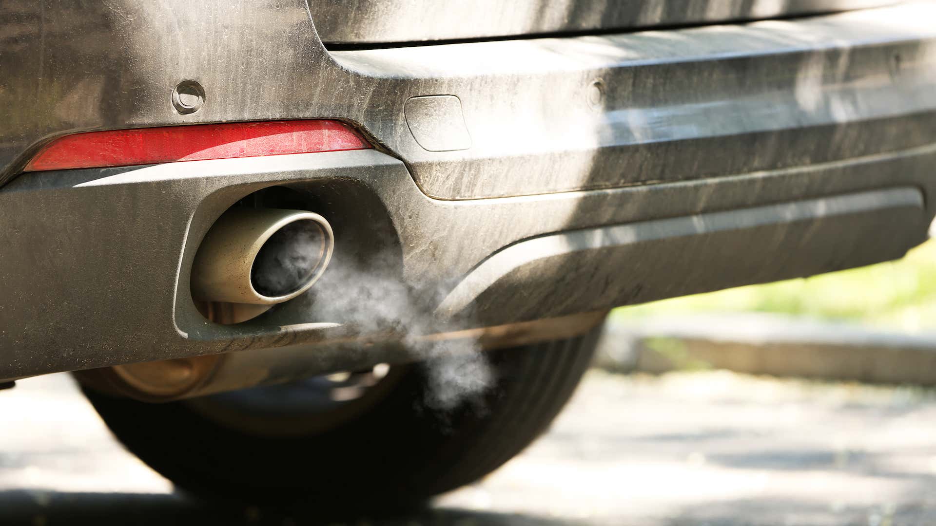 Smog checks help ensure that your vehicle isn't killing butterflies in Canada. 烟雾检查有助于确保您的车辆不会在加拿大杀死蝴蝶。