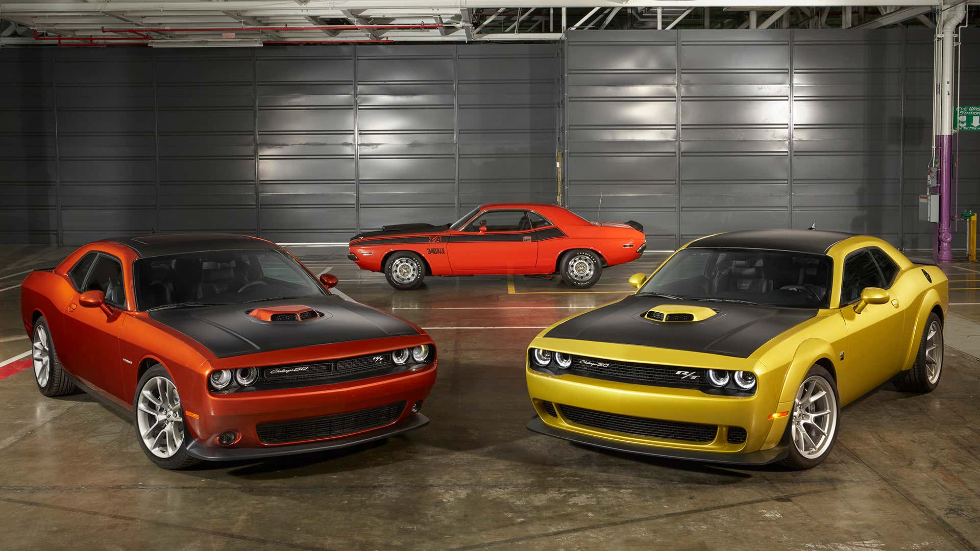 An assortment of Dodge Challengers. 道奇挑战者的分类。