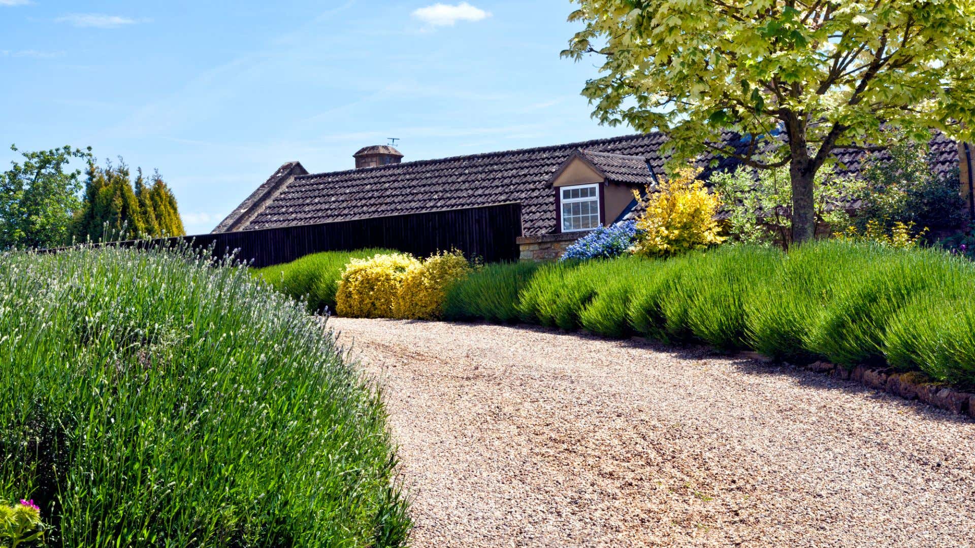 A picturesque gravel driveway. 风景如画的砾石车道