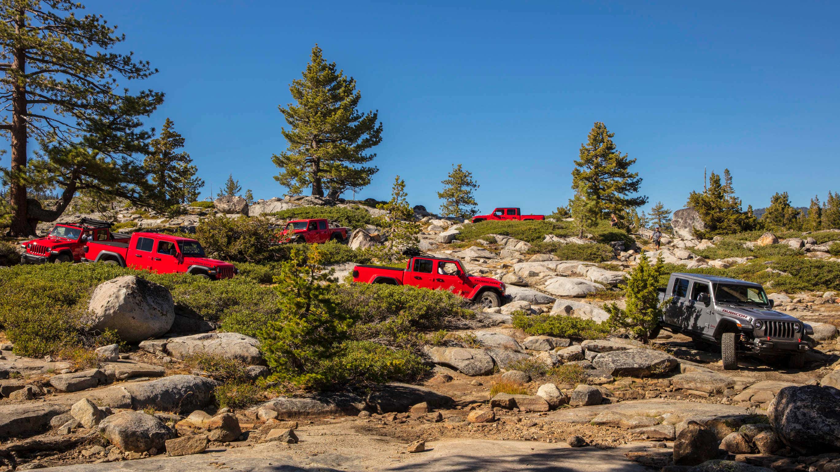 Numerous Jeep Gladiators drive down a hill. 无数吉普车角斗士开车下山。