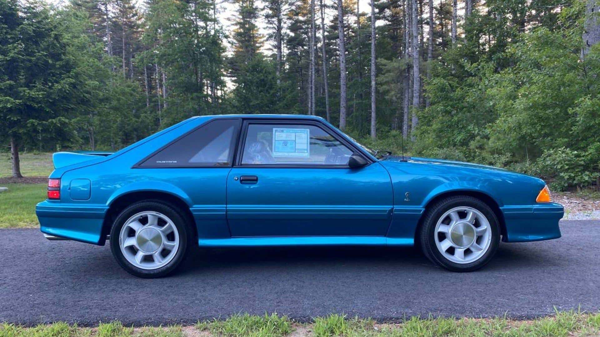 A Fox Body Cobra. 狐狸身体眼镜蛇。