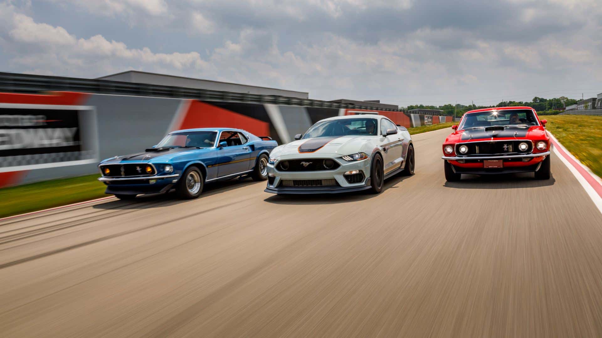 A herd of Mach 1 Mustangs. 一群马赫1个野马。